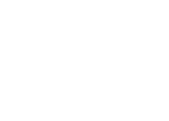 logo enel