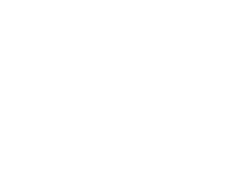 logo light